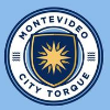 Montevideo city
